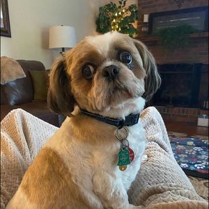 Meet your Posher, Rhonda